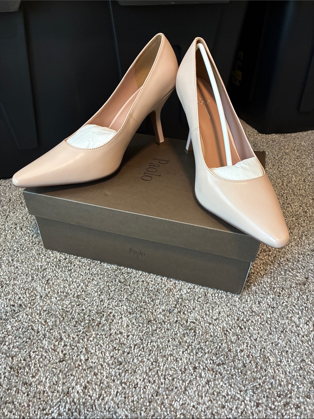 Paolo Pointed Toe Stiletto Pumps - Blush Nude